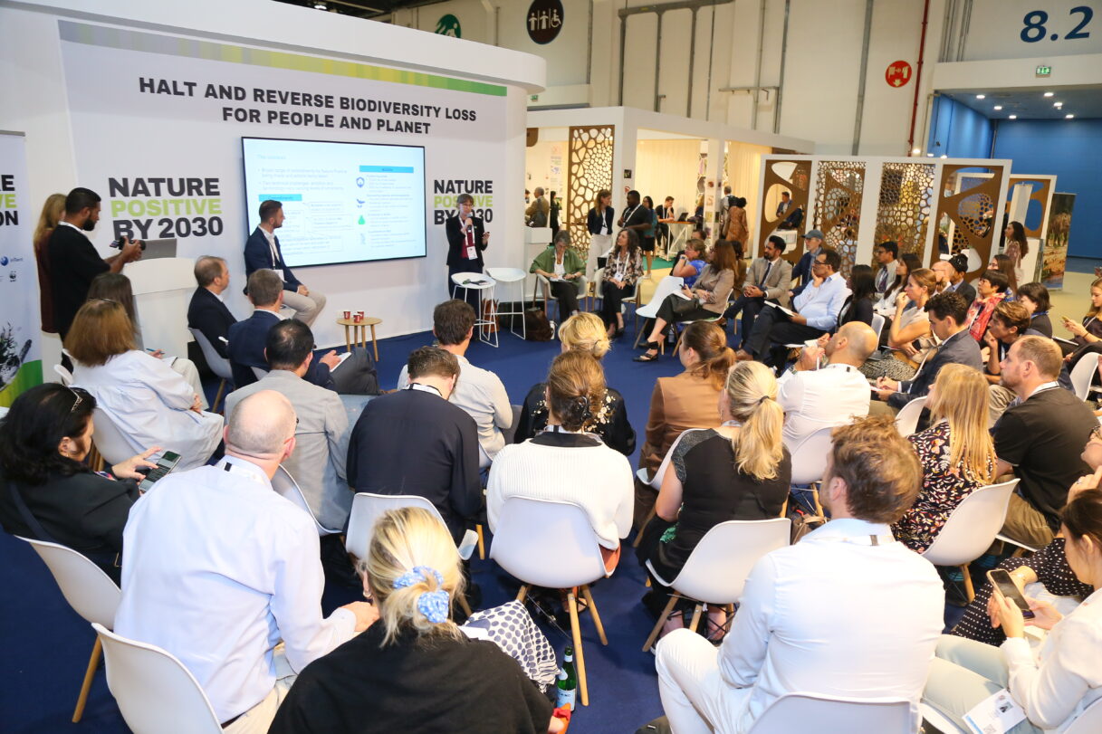 Communicating Nature Positive Outcomes session at IUCN WCC