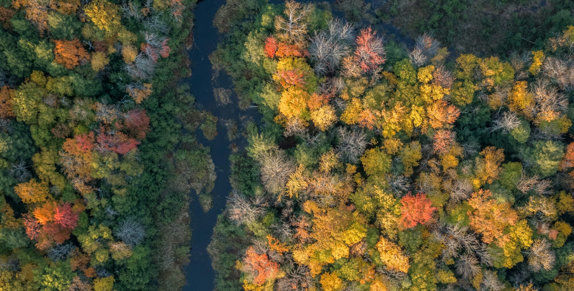 Porcupine Mountains, Carp Lake Township, Michigan, USA - Dave Hoefer - unsplash