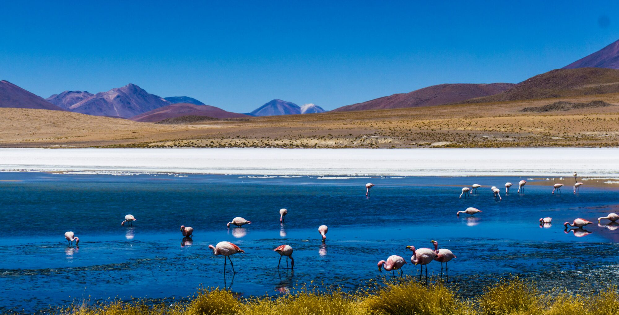A lagoon in Bolivia - Guille Alvarez - unsplash