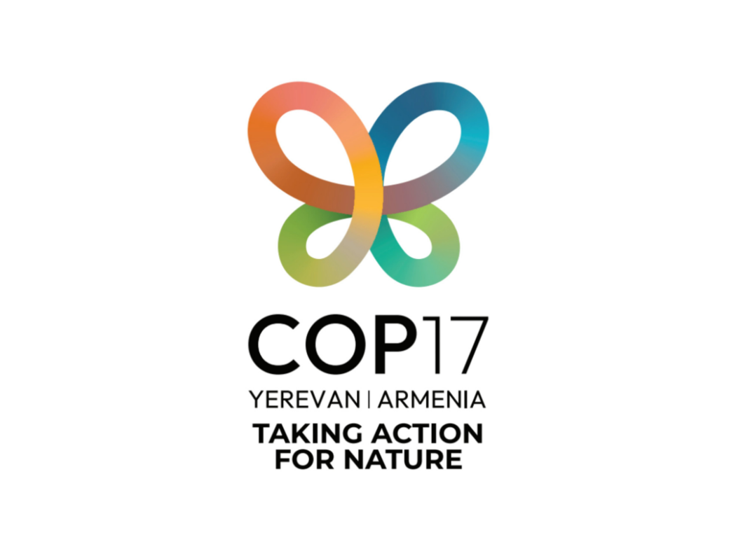 COP17 logo